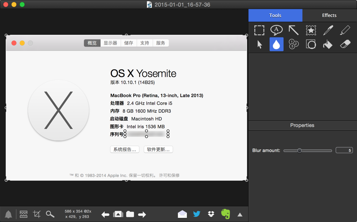 Snagit 的模糊工具